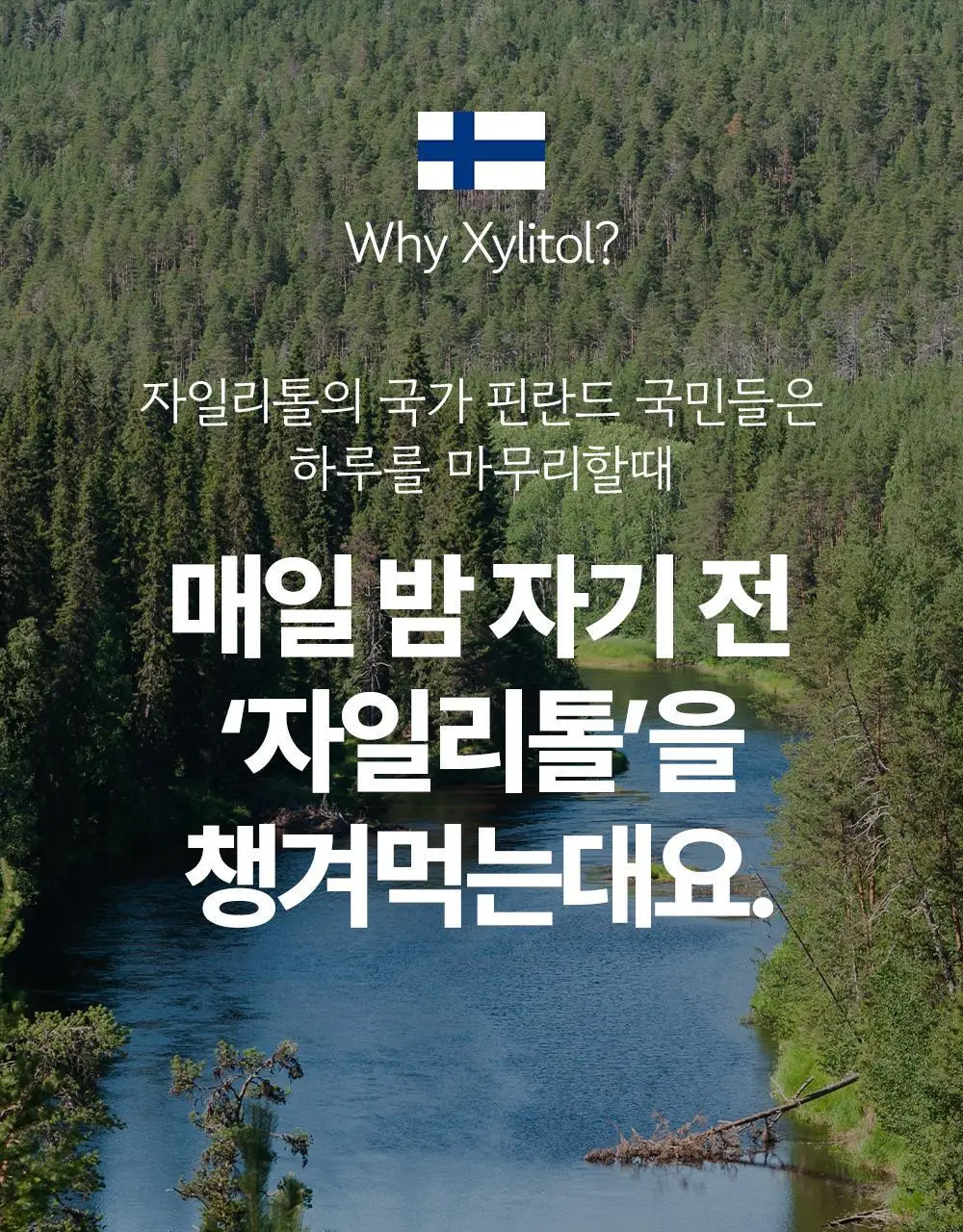 [ONLY올영] 오슬랩 나잇리톨 식물성 멜라토닌 함유 츄어블 캔디 선물세트 (30정X2ea) 60일분 상세페이지 53